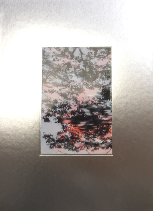 Yoshinori Mizutani - Hdr_nature
