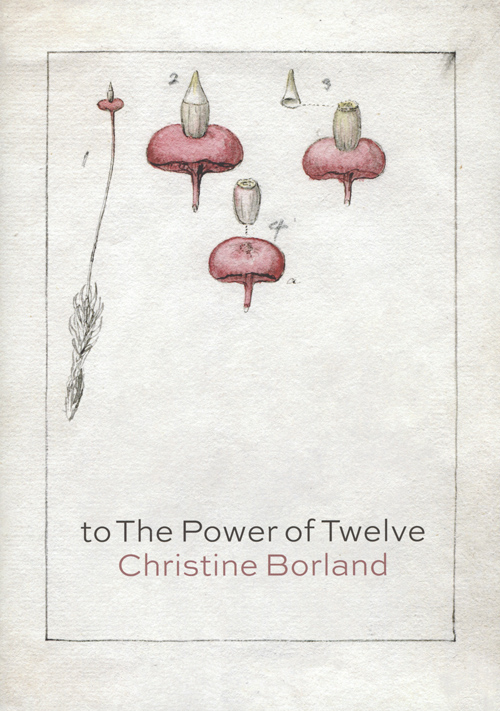 Christine Borland To The Power Of Twelve