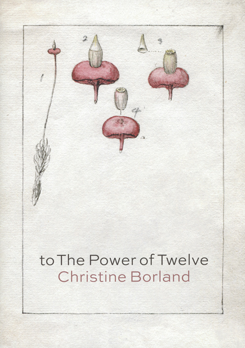Christine Borland To The Power Of Twelve Christine Borland To The Power Of Twelve