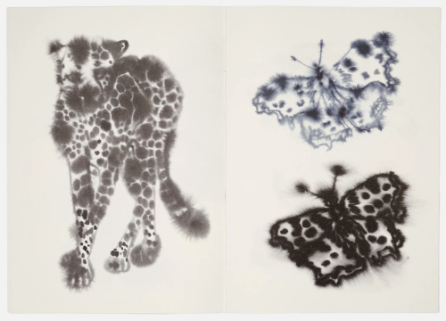 Rop van Mierlo – Colouring Book