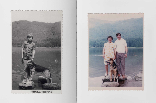 Erik Kessels: In Almost Every Picture 18 Shepherd Dog