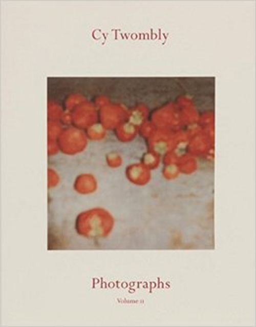 Cy Twombly: Photographs Volume 2 Catalogue