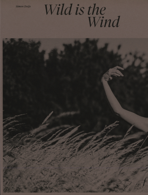Simon Duijs – Wild is the wind