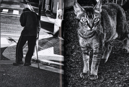 Daido Moriyama: Record 32 Daido Moriyama: Record 32