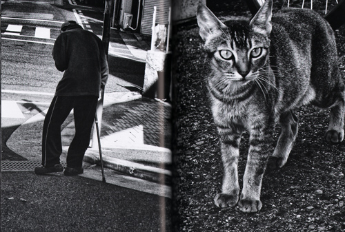 Daido Moriyama: Record 32