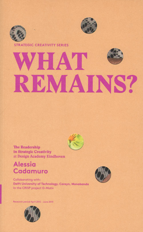 What Remains? (Strategic Creativity Series) What Remains? (Strategic Creativity Series)