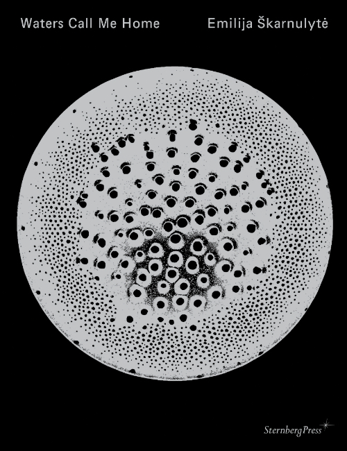 Emilija Škarnulytė - Waters Call Me Home