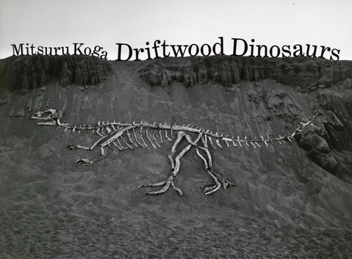 Mitsuru Koga - Driftwood Dinosaurs