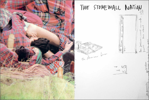 The Stonewall Nation The Stonewall Nation