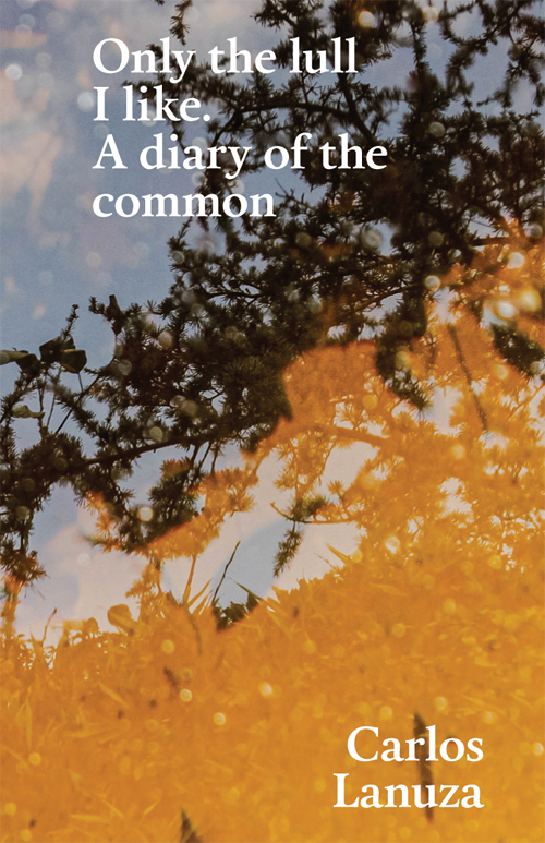 Only the lull I like. A diary of the common.