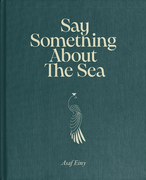 Asaf Einy - Say Something About The Sea