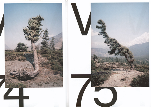 Spectre Numero 2: Vegetal Trauma Spectre Numero 2: Vegetal Trauma