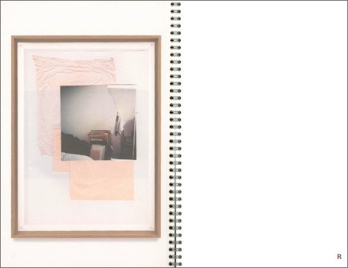 distinguish the limit from the edge