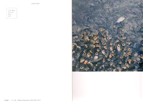 Rinko Kawauchi - 20 Postcards