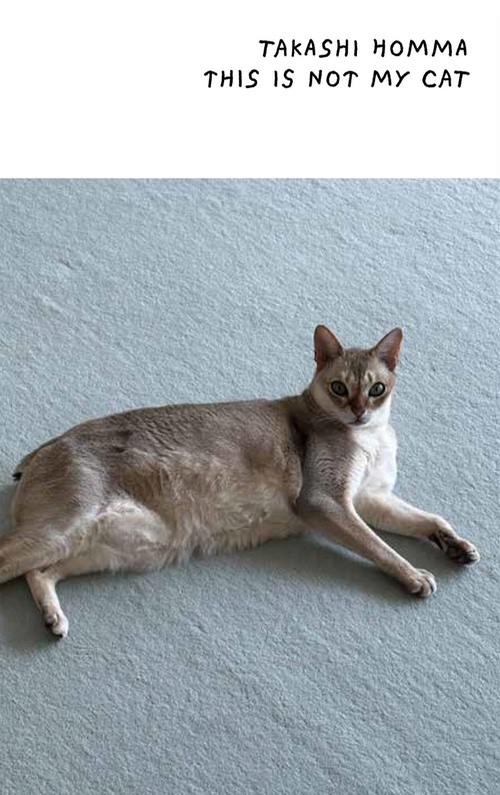 Takashi Homma – This Is Not My Cat