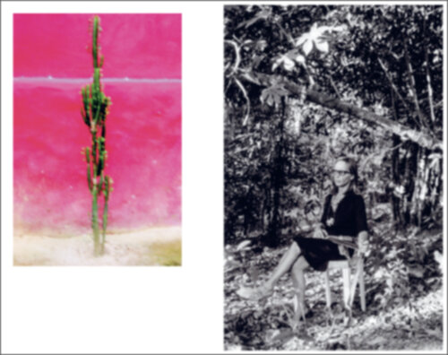 Peau d'Ana – Conversation with Ana Jotta