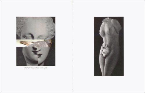 Dana Darvish - Study for Woman Dana Darvish - Study for Woman