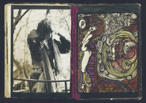 Octopus Notes 11