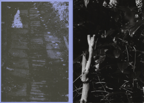 Marijn Bax — ANK - Another Kind of Need Marijn Bax — ANK - Another Kind of Need