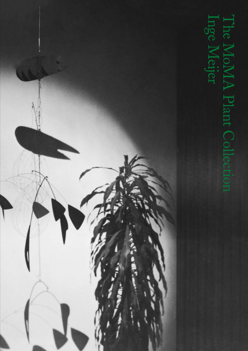 Inge Meijer – The MoMA Plant Collection