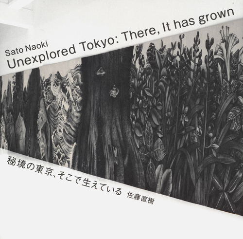 Sato Naoki - Unexplored Tokyo: There, It Has Grown