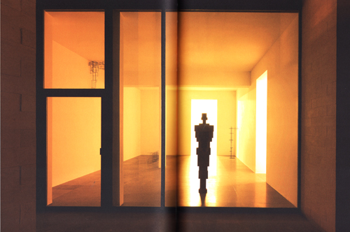 Antony Gormley - Living Room