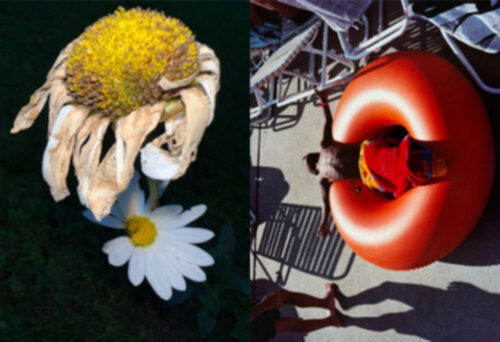 Jeff Mermelstein – What if Jeff were a Butterfly?