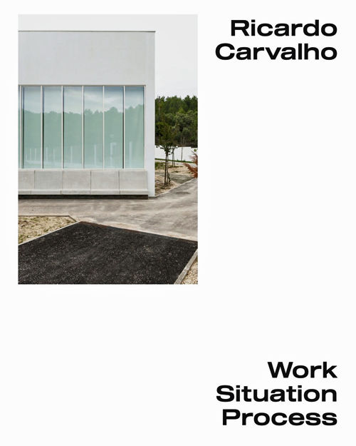Ricardo Carvalho - Work Situation Process