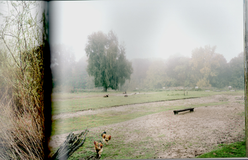 Poisoned Landscape Revisited - Wout Berger