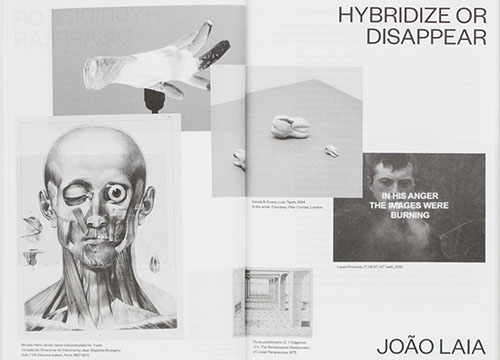 Hybridize Or Disappear