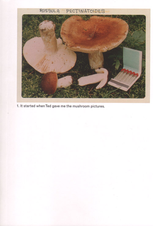 Jason Fulford - The Mushroom Collector