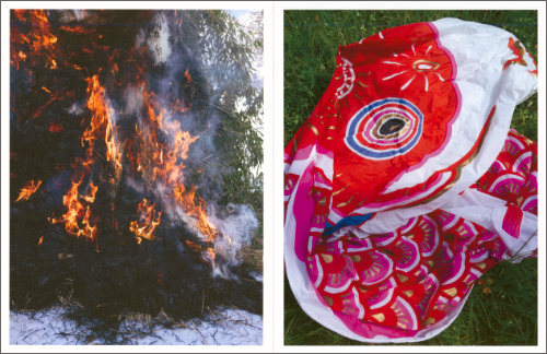 Ryo Adachi – I Want To Check The Shape Of Trees