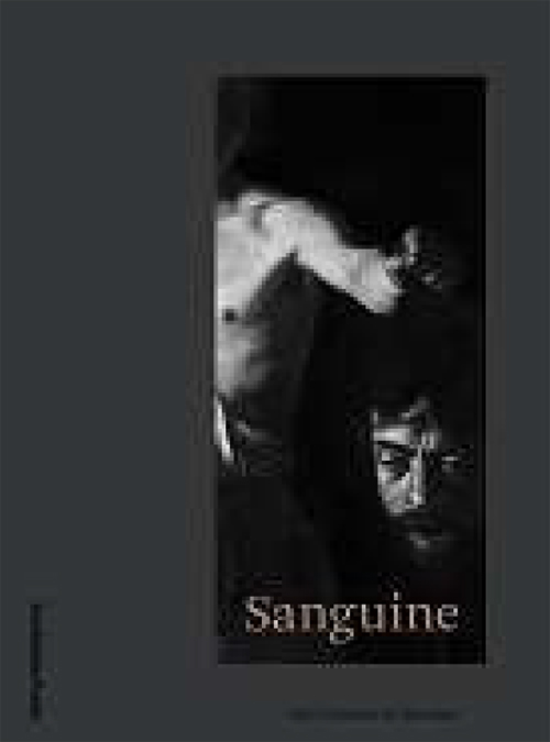 Sanguine - Luc Tuymans On Baroque