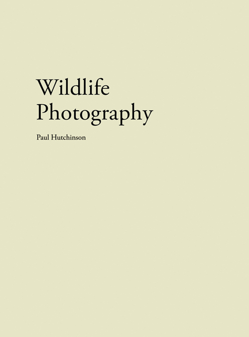 Paul Hutchinson - Wildlife Photography