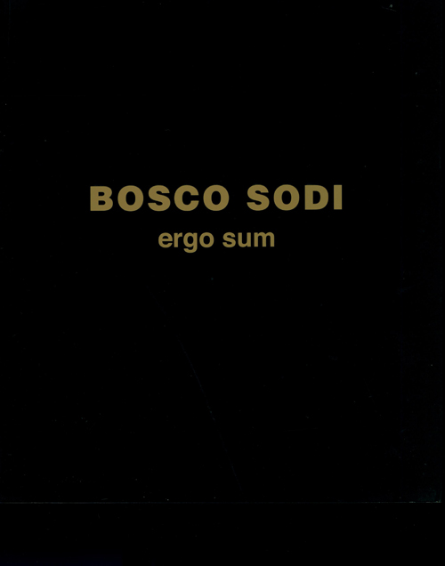 Bosco Sodi - Ergo Sum