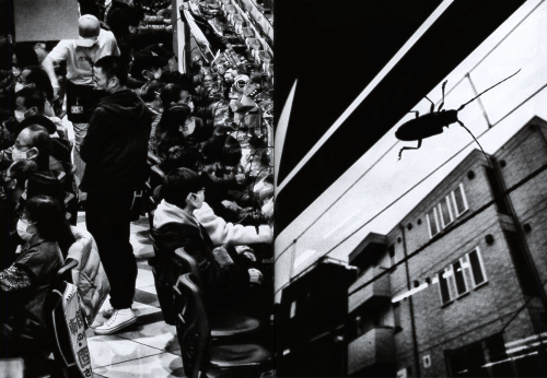 Daido Moriyama: Record 52