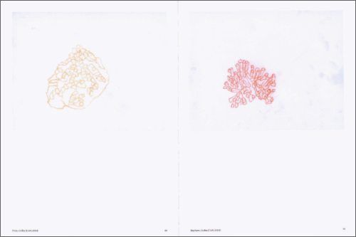 Irene Kopelman - A Matter of Framing. Notes on Representation Vol. 13 Irene Kopelman - A Matter of Framing. Notes on Representation Vol. 13