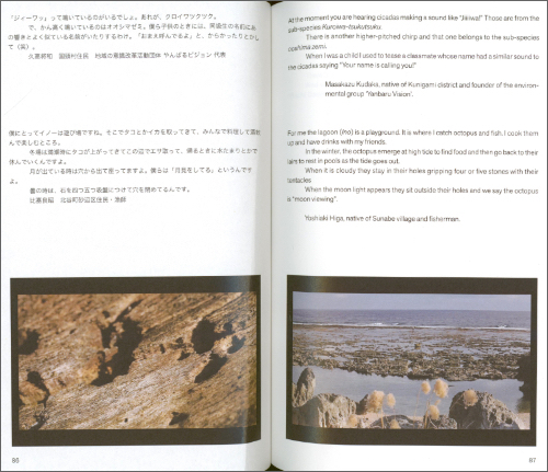 Zawawa: Listening to the Aftermaths of Conflicts in Okinawa