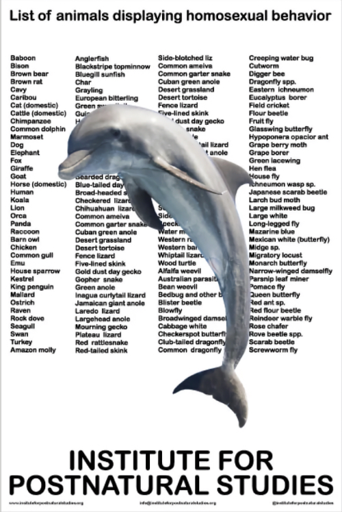 List of animal displaying homosexual behaviours · Dolphin (poster)