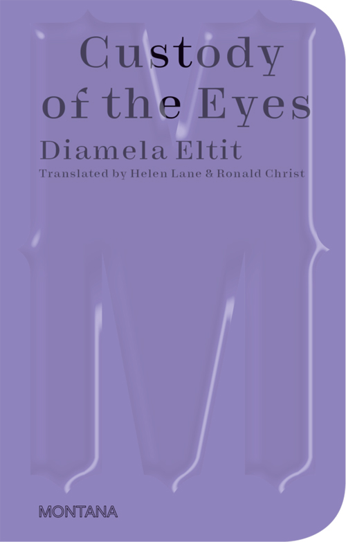 Diamela Eltit Custody of the Eyes