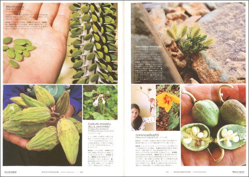 Bizarre Edible Plants: Unknown Delicacies Bizarre Edible Plants: Unknown Delicacies