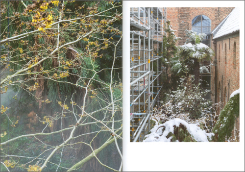 Ben Thorp Brown - Cura’s Garden