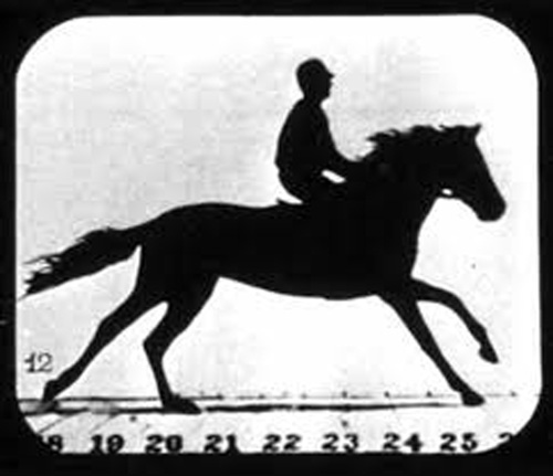Muybridge: Man Riding A Horse