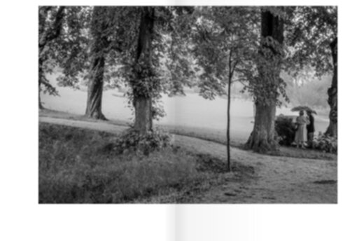 Wouter van Solinge - Situations