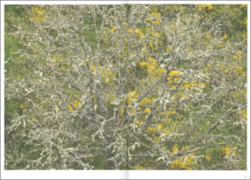 Pictures that I have seen Pictures that I have seen