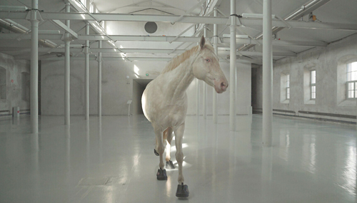 Tove Kjellmark – The Horse, the Robot & the Immeasurable