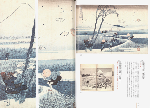 Hokusai Close Up IV Hokusai Close Up IV