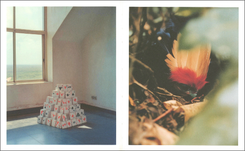 Bharat Sikka — Elephant in the Room