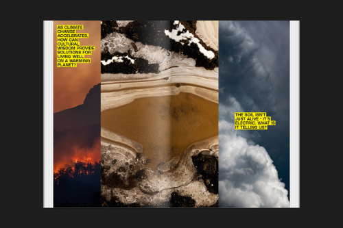 Imagine - Embracing Chaos and Possibility in a Planetary Emergency Imagine - Embracing Chaos and Possibility in a Planetary Emergency