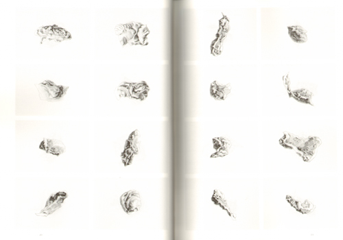 Irene Kopelman - X Points Of View Notes On Representation Volume 2 Irene Kopelman - X Points Of View Notes On Representation Volume 2